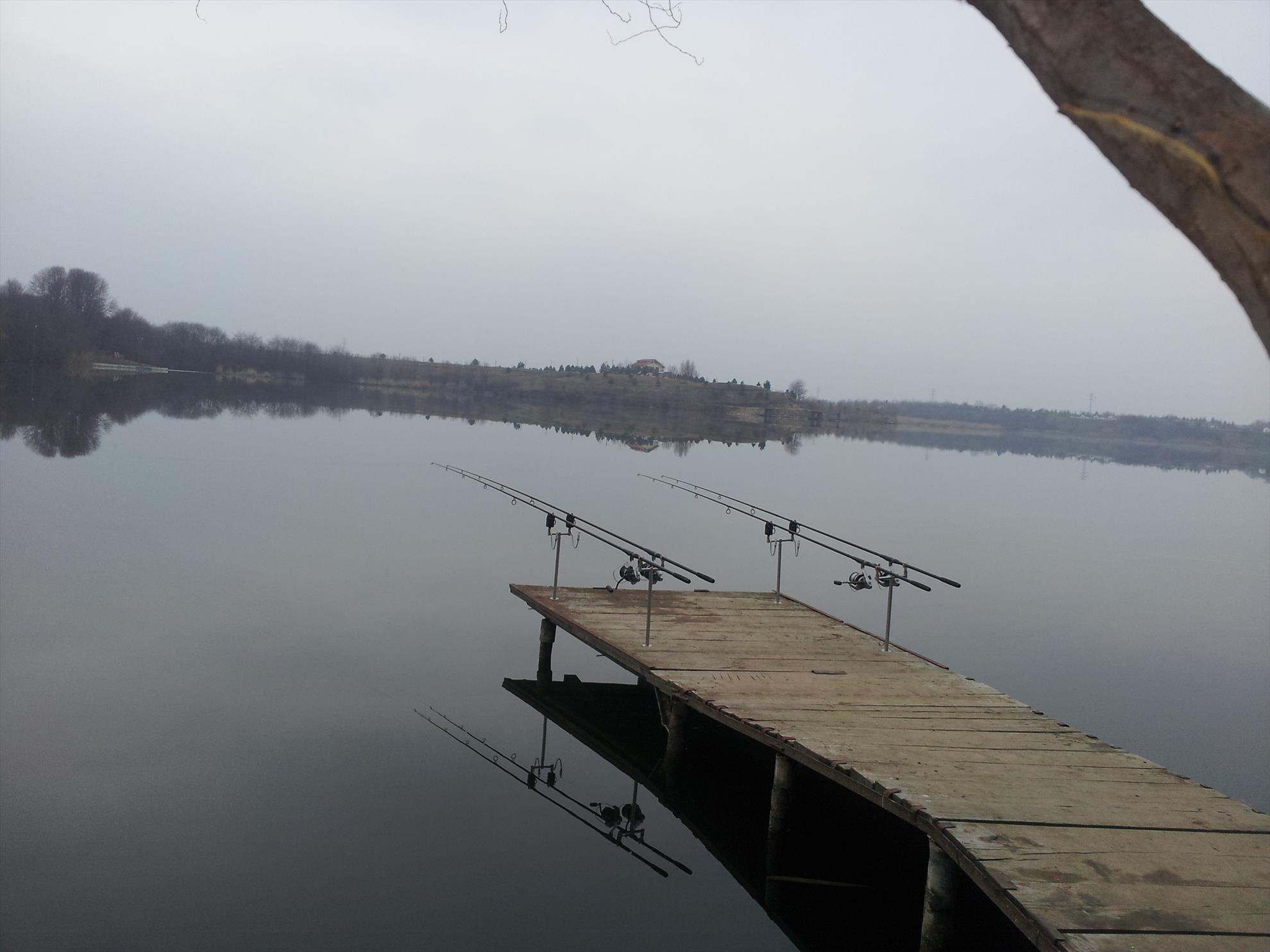 Tancabesti 1 - 2 mar. - 20140301172052.jpg